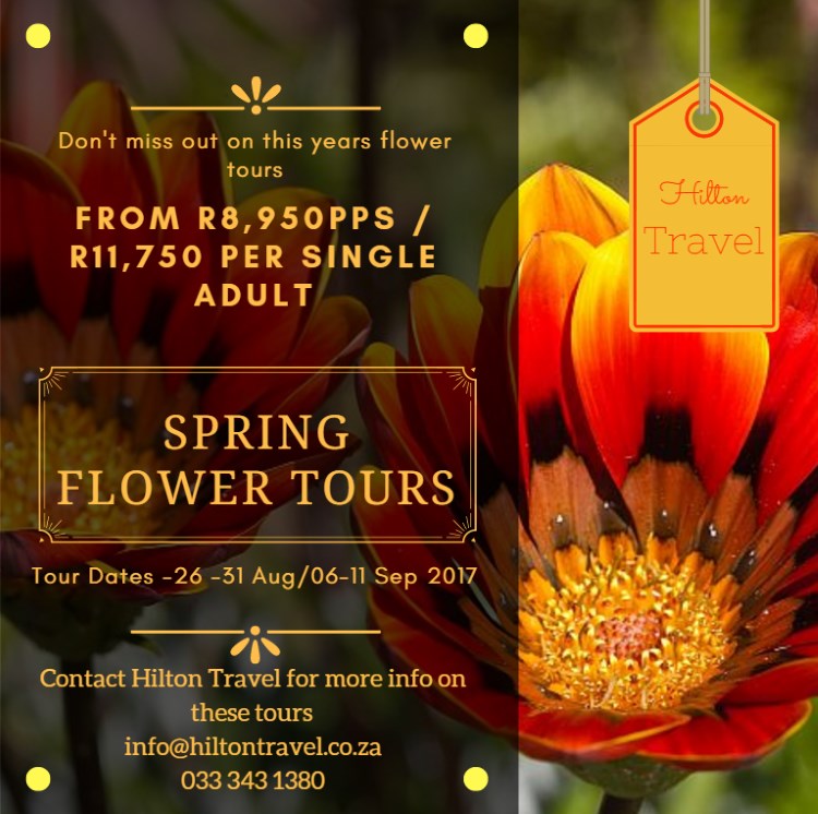 spring flower tour hilton travel