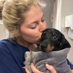 Veterinary House Hilton Is There For The Hard Goodbyes