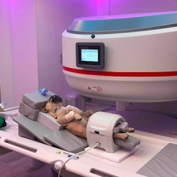 Eighteen MRI scans in week one - Hilton Veterinary Hospital