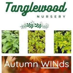 Autumn Specials at Tanglewood Nursery: Valid 15 to 22 May while stock lasts