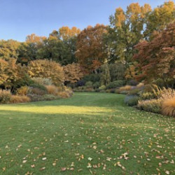 Four Ways To Garden More Sustainably This Autumn