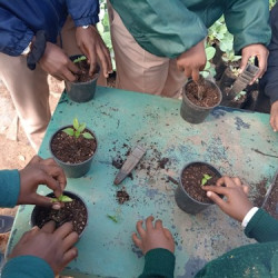 Capulum College learners skill up at Tanglewood Nursery