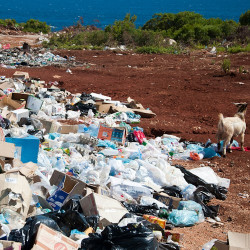 World Earth Day 2024: United Effort Key to Tackling South Africa’s Plastic Pollution