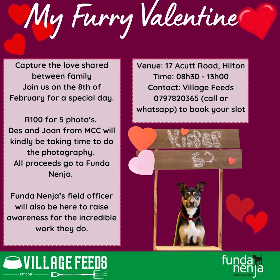 15 feb my furry valentine