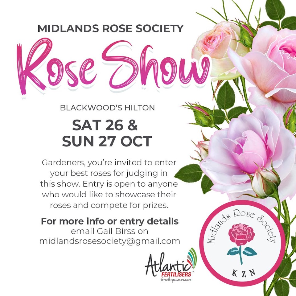 26 oct hilton rose show