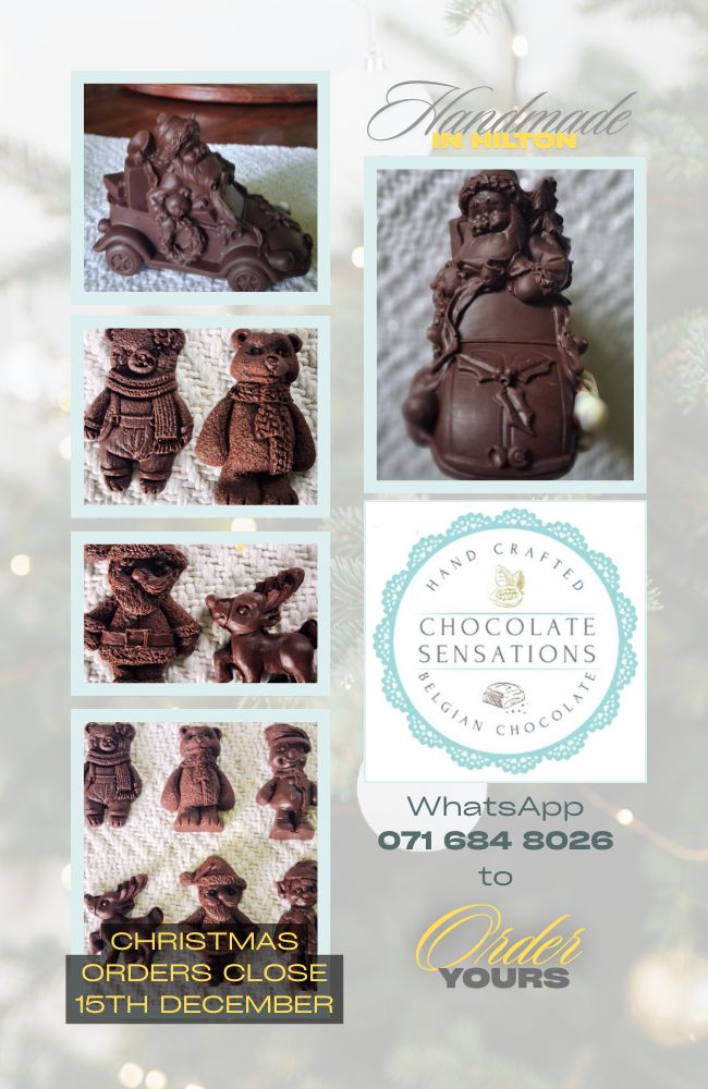 private and corporate padel courts hilton copy