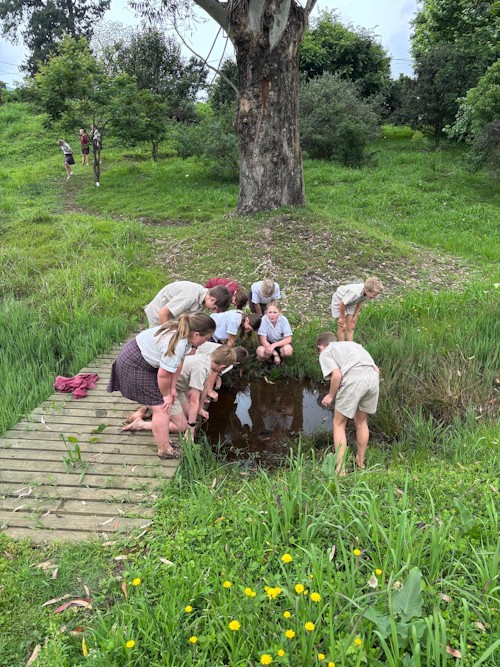 cowan house outdoor childhood play