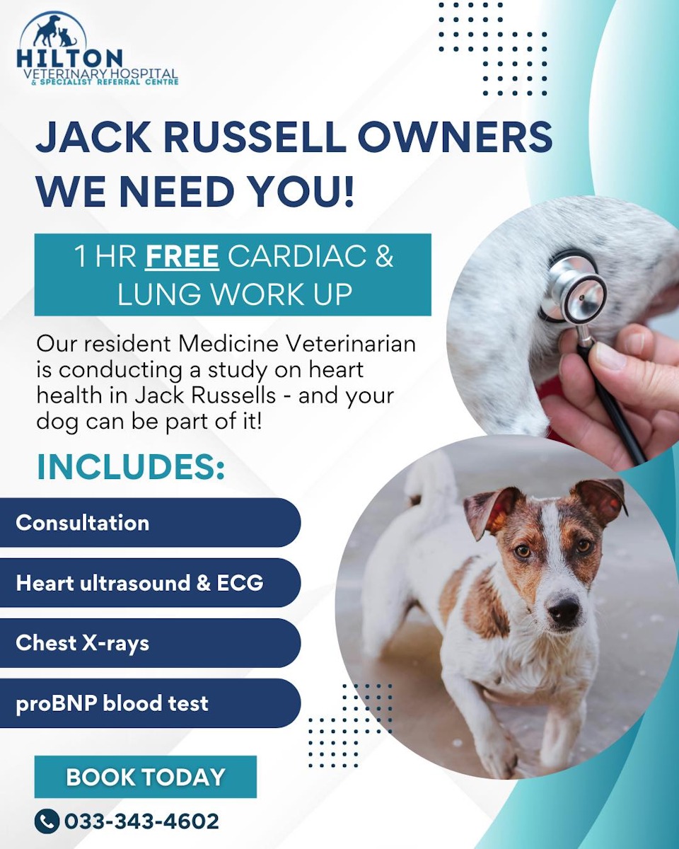 hilton vet 8 oct 2025