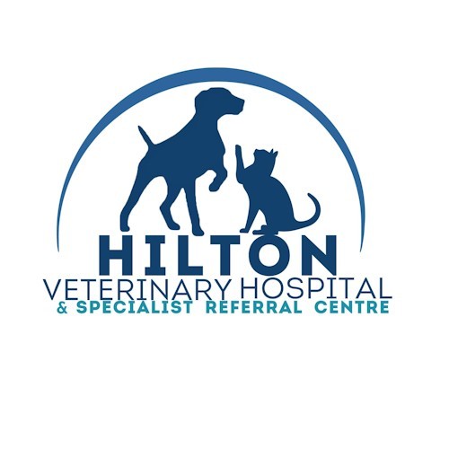 hilton vet hospital jan 2024