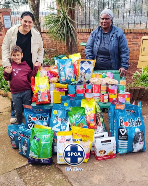 spca hilton collection