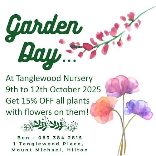 tanglewood garden Day special