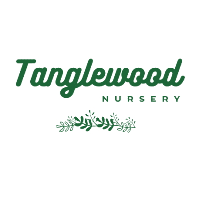 tanglewood nursery logo