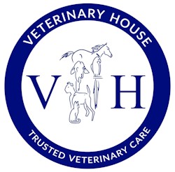 vet house hilton logo