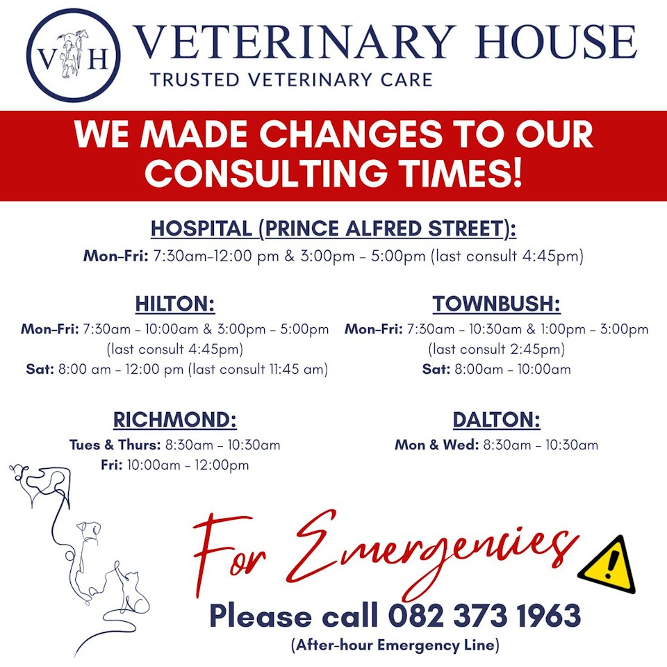 vet house hilton openng hours