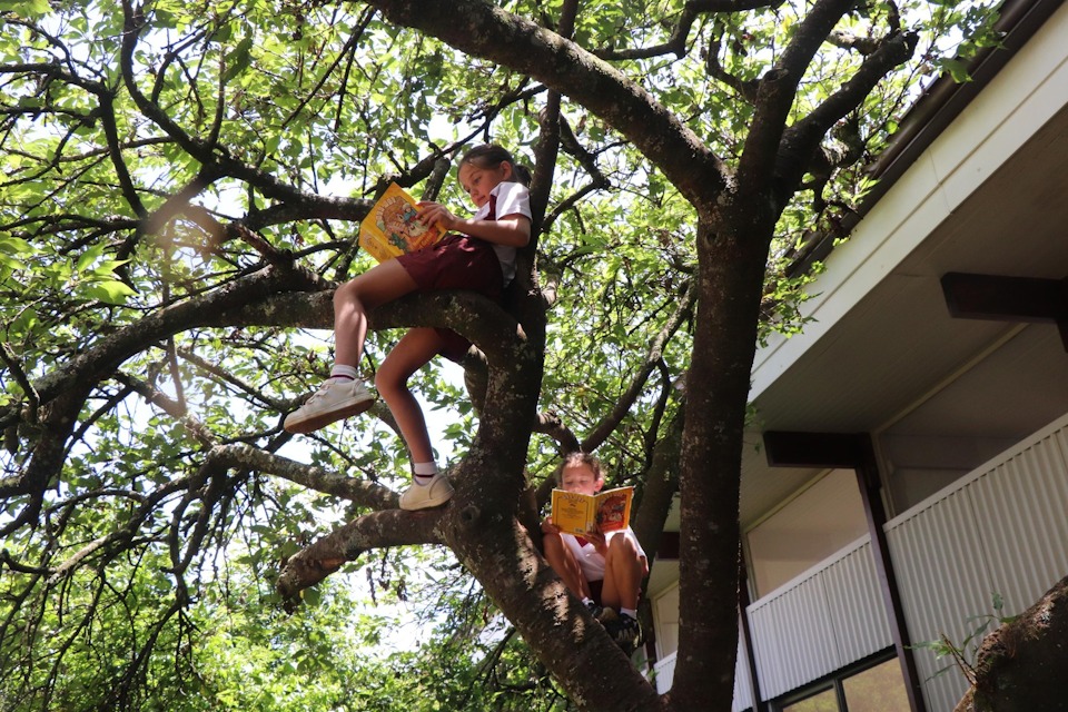 cowan house world read aloud day