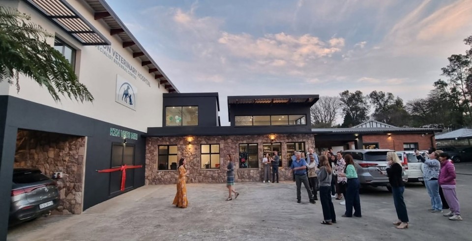 hilton vets mri launch