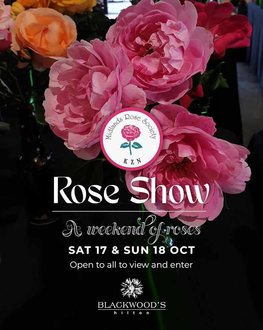 midlands rose show