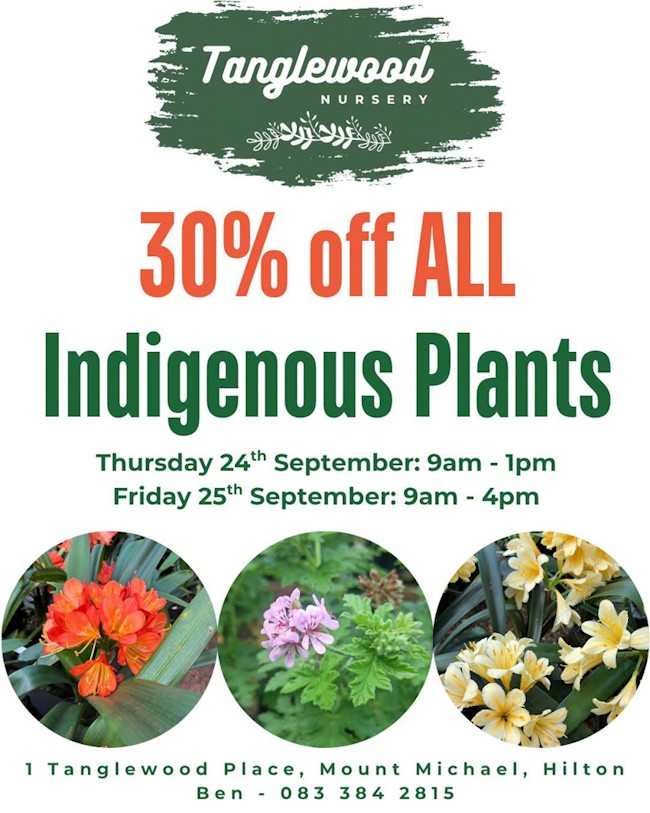 tanglewood spring sale late Aug copy