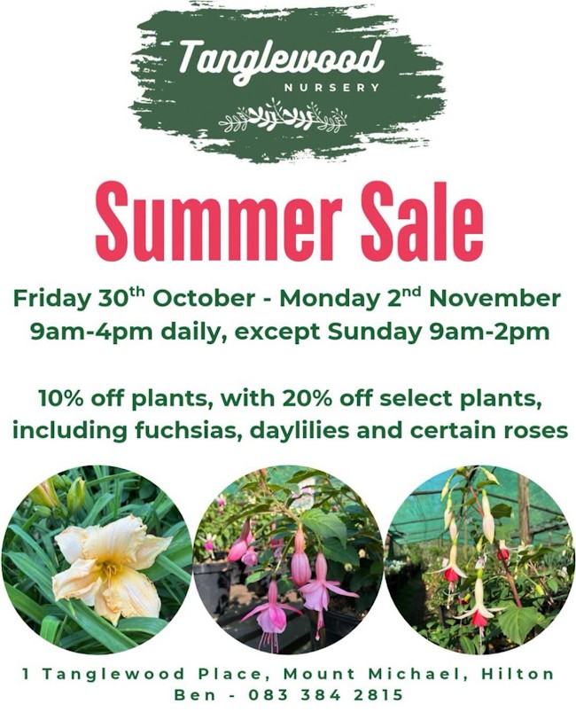 tanglewood summer sale