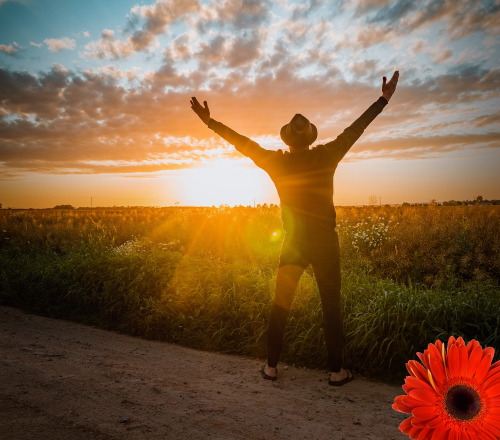 entrepreneurs hilton