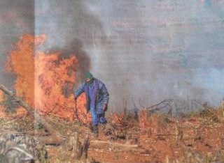 fire season
