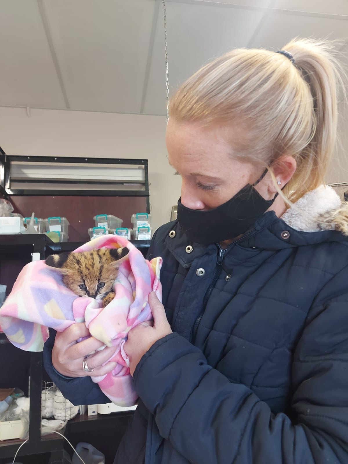 megan hilton vet hospital