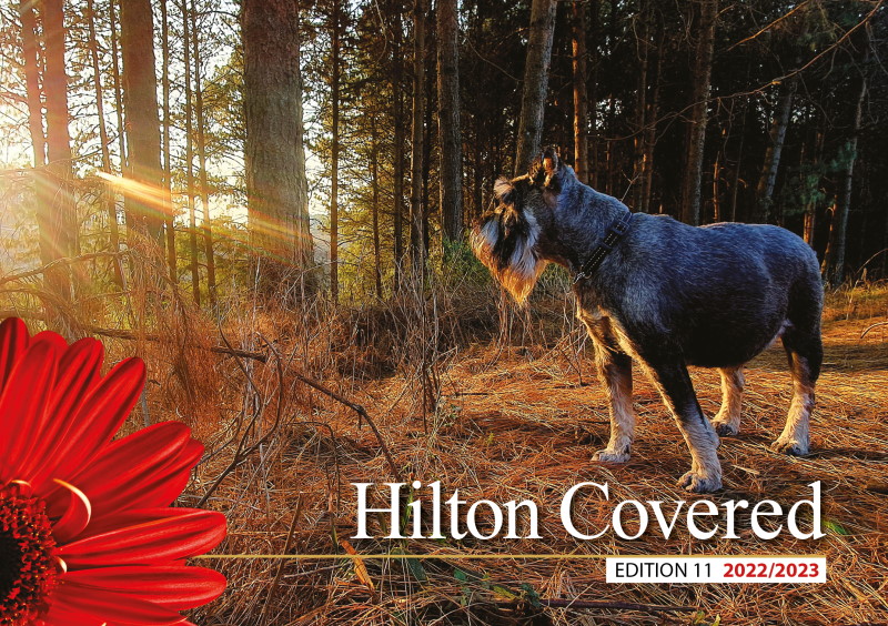 HILTON COVERED 22 23 cover 800