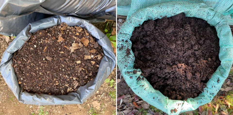 compost tanglewood july