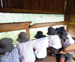 bird hide laddsworth primary school