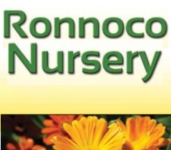 ronnoco nursery logo 250x220 copy