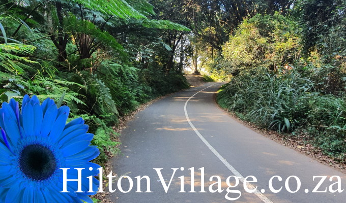 HiltonVillage.co.za