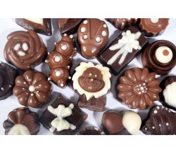 chocolate sensations choolate shapes
