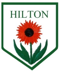 hilton bowling club copy