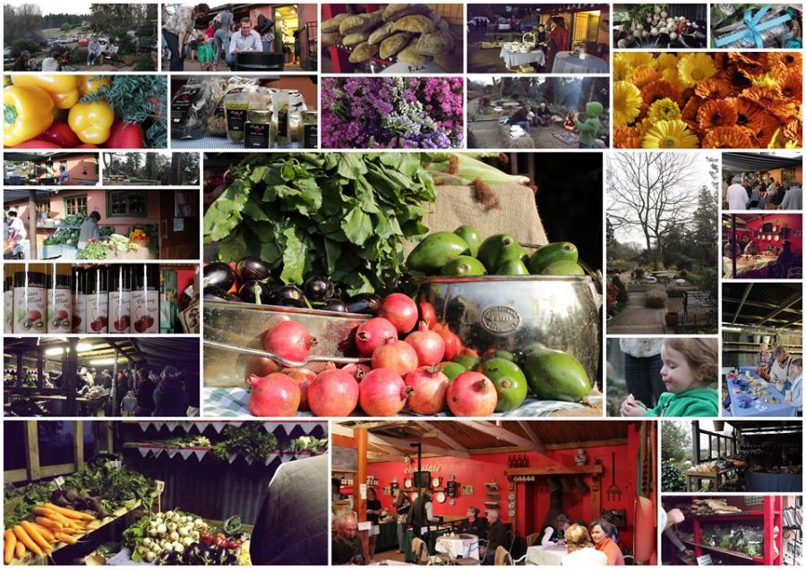 la popote market pic