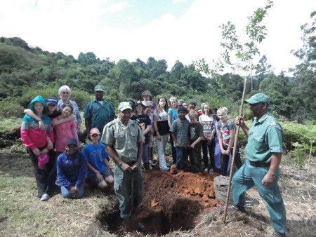 laddsworth doreen clark tree project