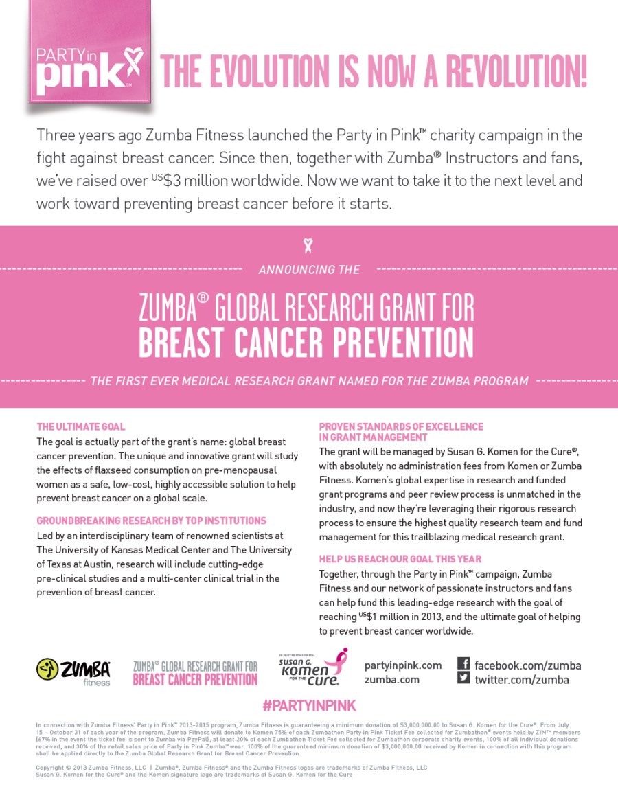 party in pink zumba