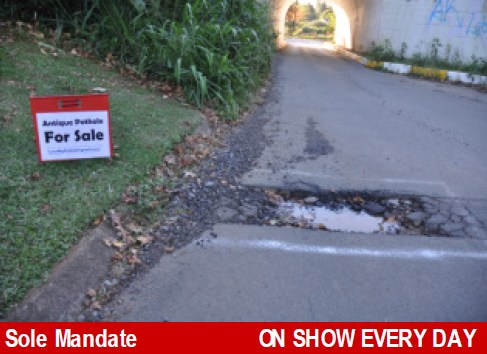 pothole cover story by-pothole queen
