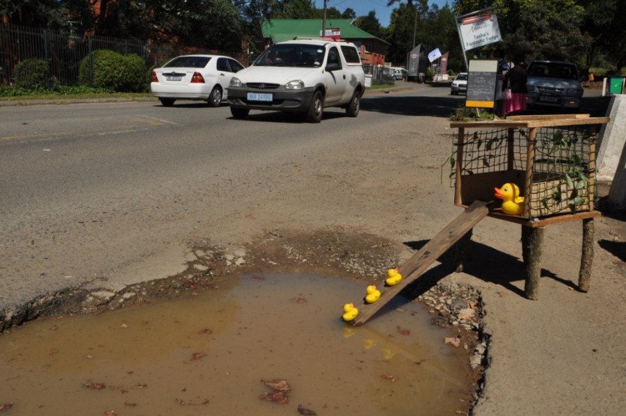 pothole with ducks 9