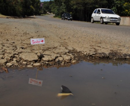 pothole with shark cover