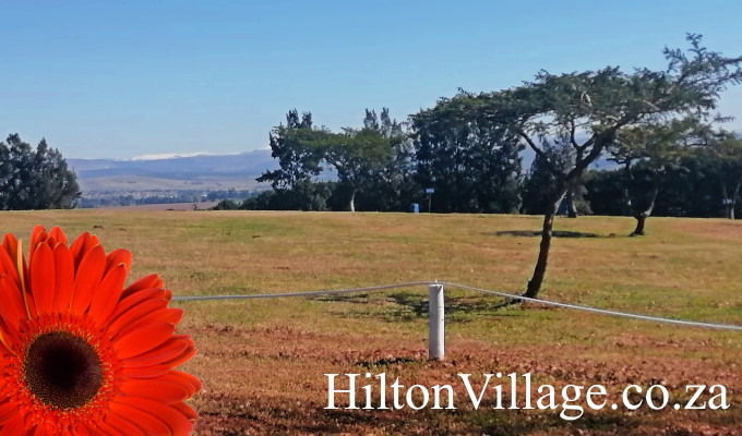HiltonVillage.co.za