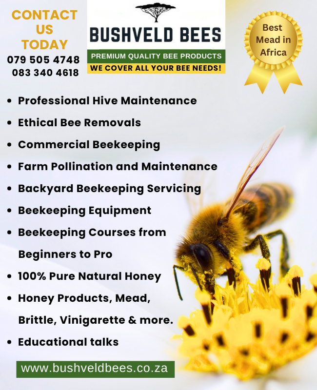 Bushveld Bees Advert