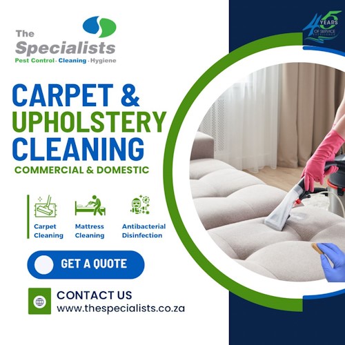 carpet and upholstery cleaning dec 2023 specialists hilton