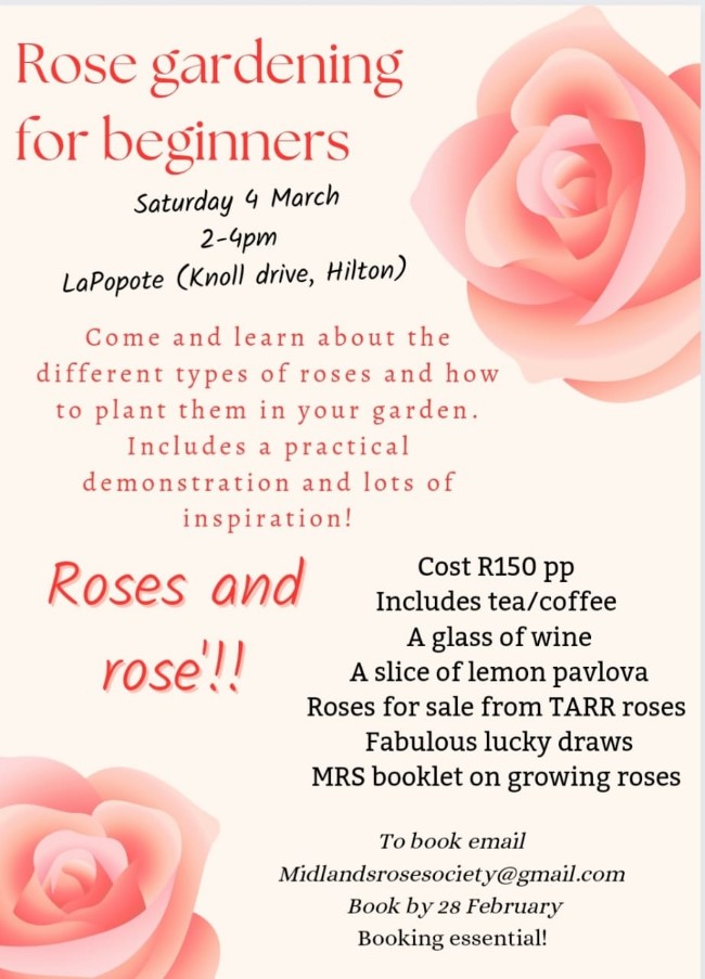 rose gardening for beginners newsletter