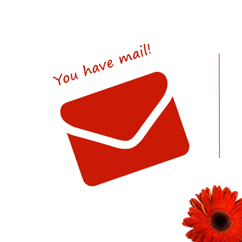 newsletter